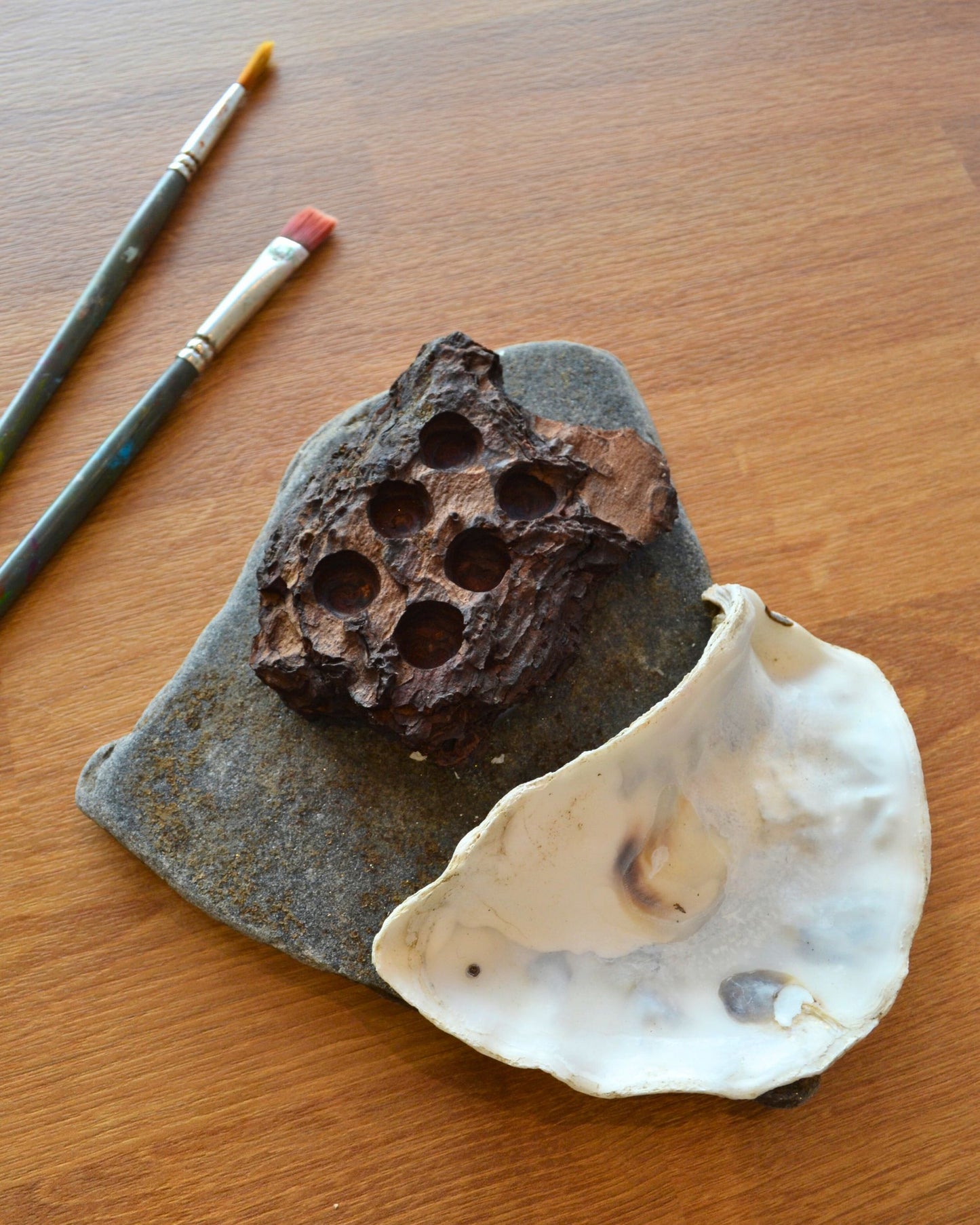 watercolour palette made from oyster shell, wood, and slate