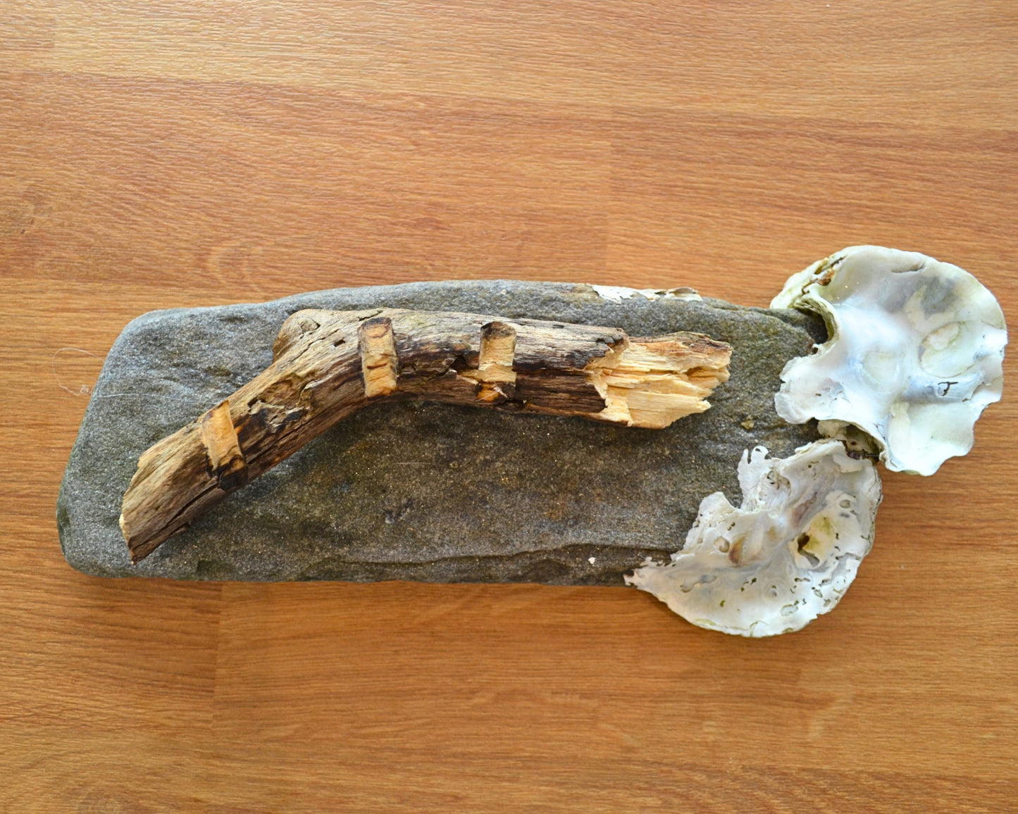 brush rest and mixing palette made from oysters, slate rock and driftwood