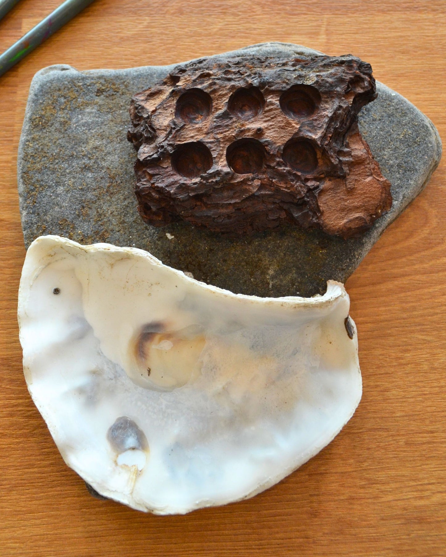 watercolour palette made from oyster shell, wood, and slate
