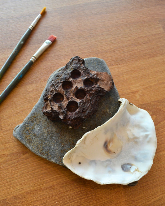 watercolour palette made from oyster shell, wood, and slate