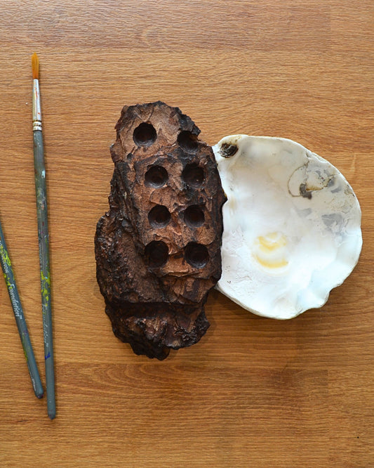 watercolour palette made from wood and oyster shell